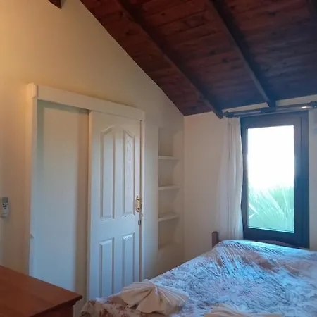 Hotel Oliva Houses1